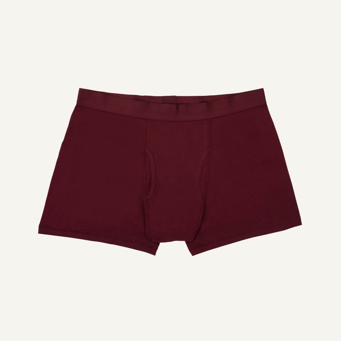 Organic Cotton Men's Boxer Brief in Garnet from Subset