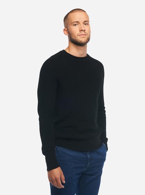 The Crewneck Sweater from TEYM