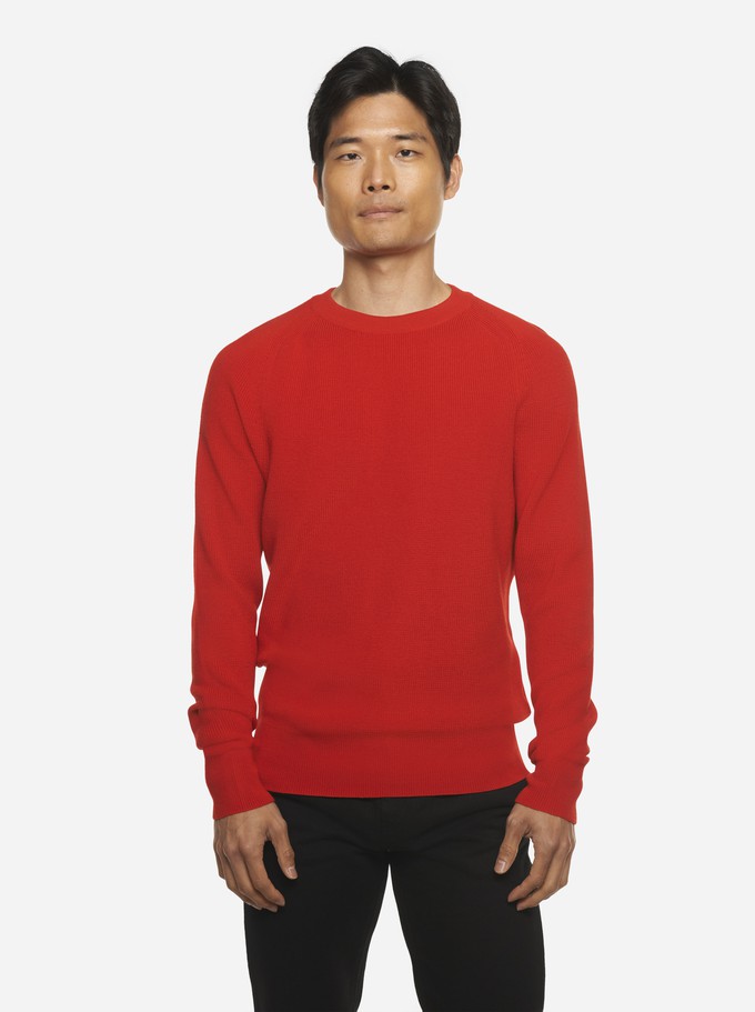 The Crewneck Sweater from TEYM