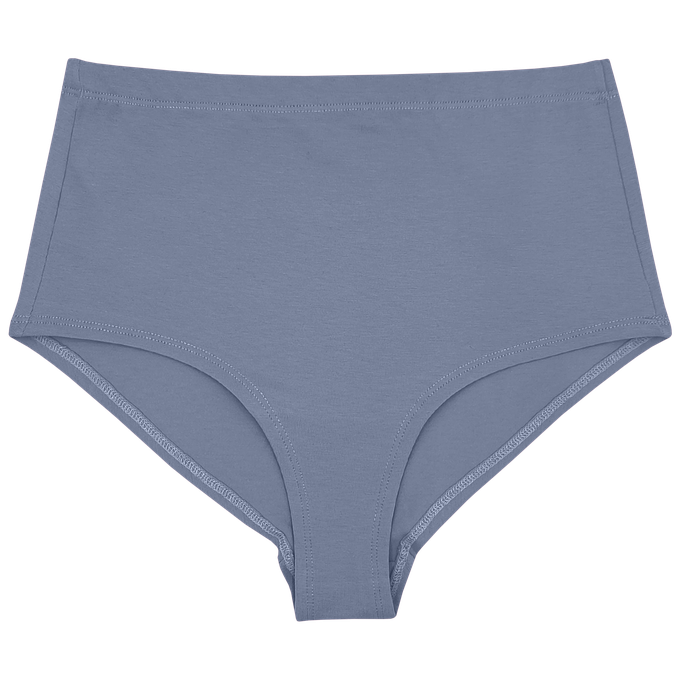 Foxy Grey Supmia Hi-Waist Panty from TIZZ & TONIC