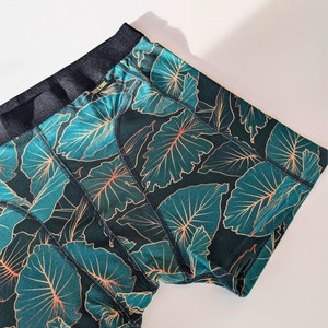 Jungle Micromodal Boxer Brief from TIZZ & TONIC