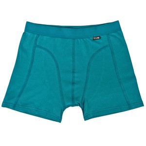 Everglade Organic Cotton Boxer Brief from TIZZ & TONIC