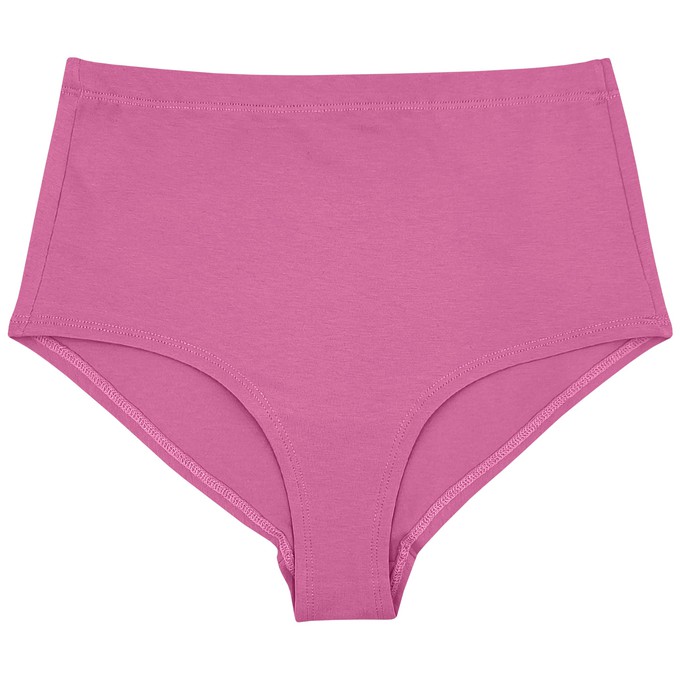 Bubblegum Pink Hi-Waist Panty from TIZZ & TONIC