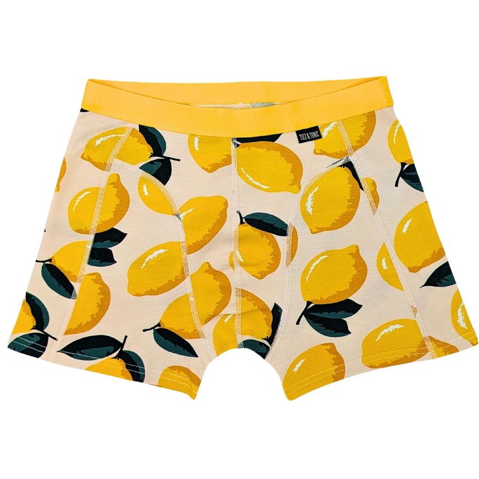 Lemon Organic Cotton Boxer Brief from TIZZ & TONIC