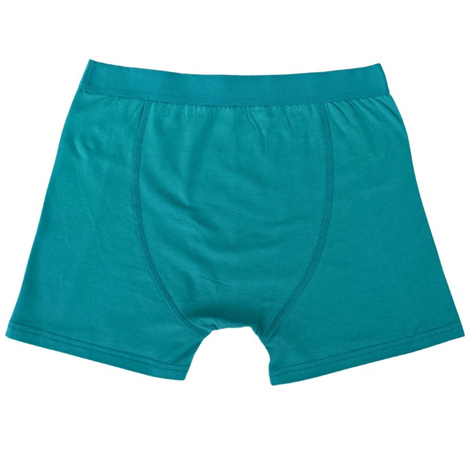 Everglade Organic Cotton Boxer Brief from TIZZ & TONIC