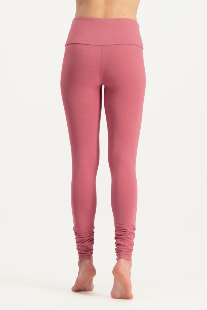 Satya Yoga Leggings – Hibiscus from Urban Goddess