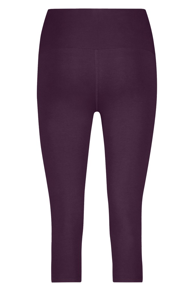 Satya Capri Yoga Leggings – Bloom from Urban Goddess