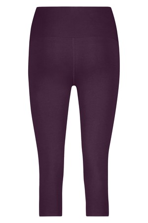 Satya Capri Yoga Leggings – Bloom from Urban Goddess