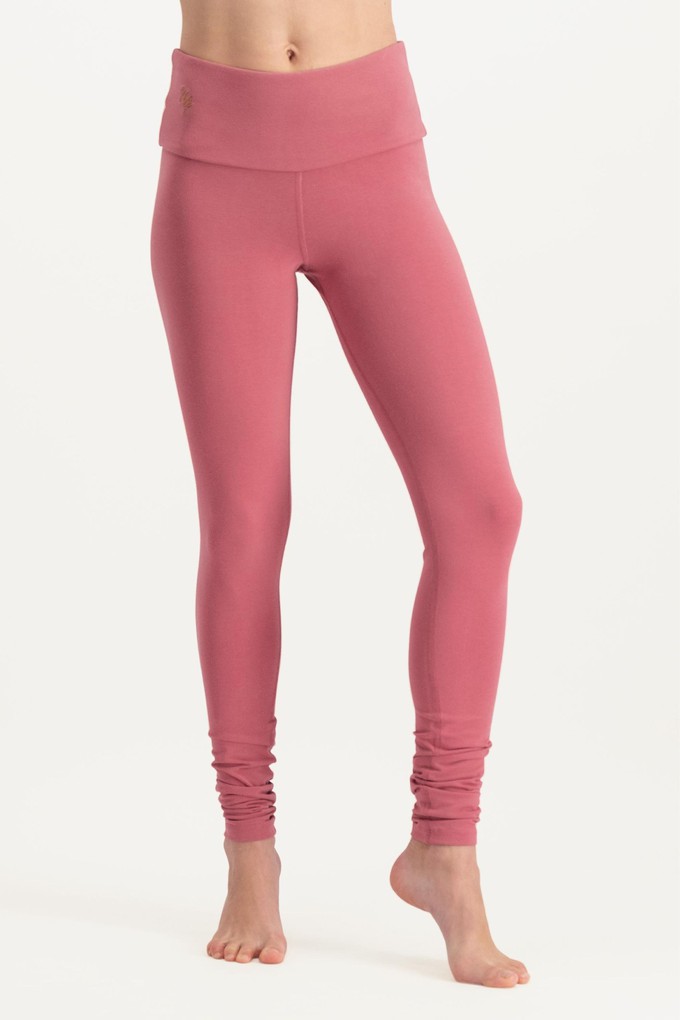 Project Cece  Anandafied Yoga Pants – Mocca