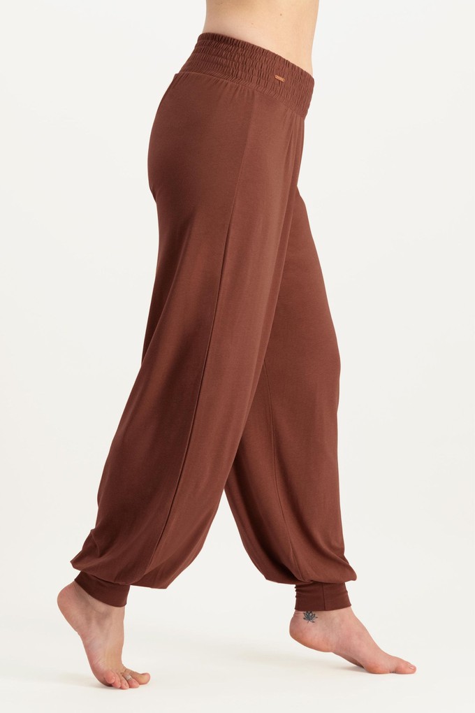 Jaya Yoga Harem Pants – Mocca from Urban Goddess