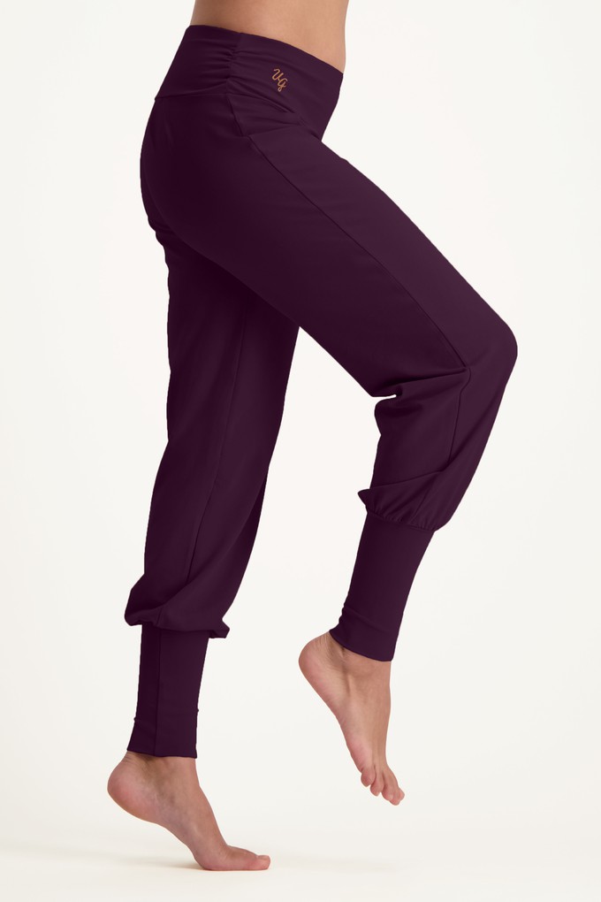 Project Cece  Dakini Yoga Pants – Bloom