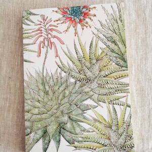 Succulents Journal from Urbankissed