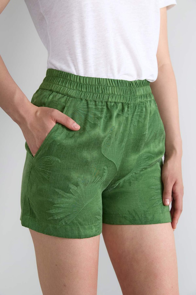 matcha Lightweight Travel Shorts from Yahmo