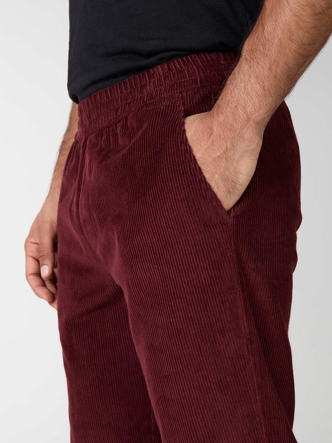 wine Otmar Pants from Yahmo